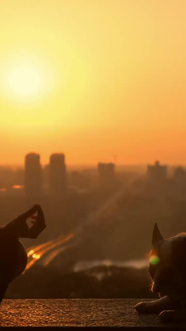 Freestanding tent setup in 90 seconds.